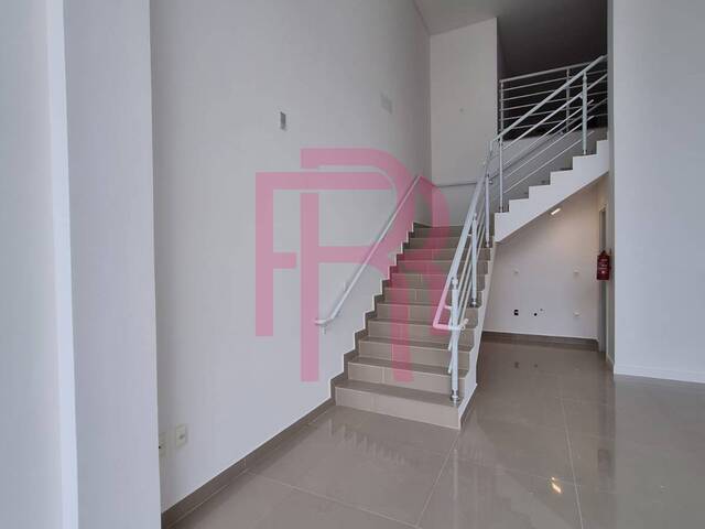 Locação em Pioneiros - Balneário Camboriú